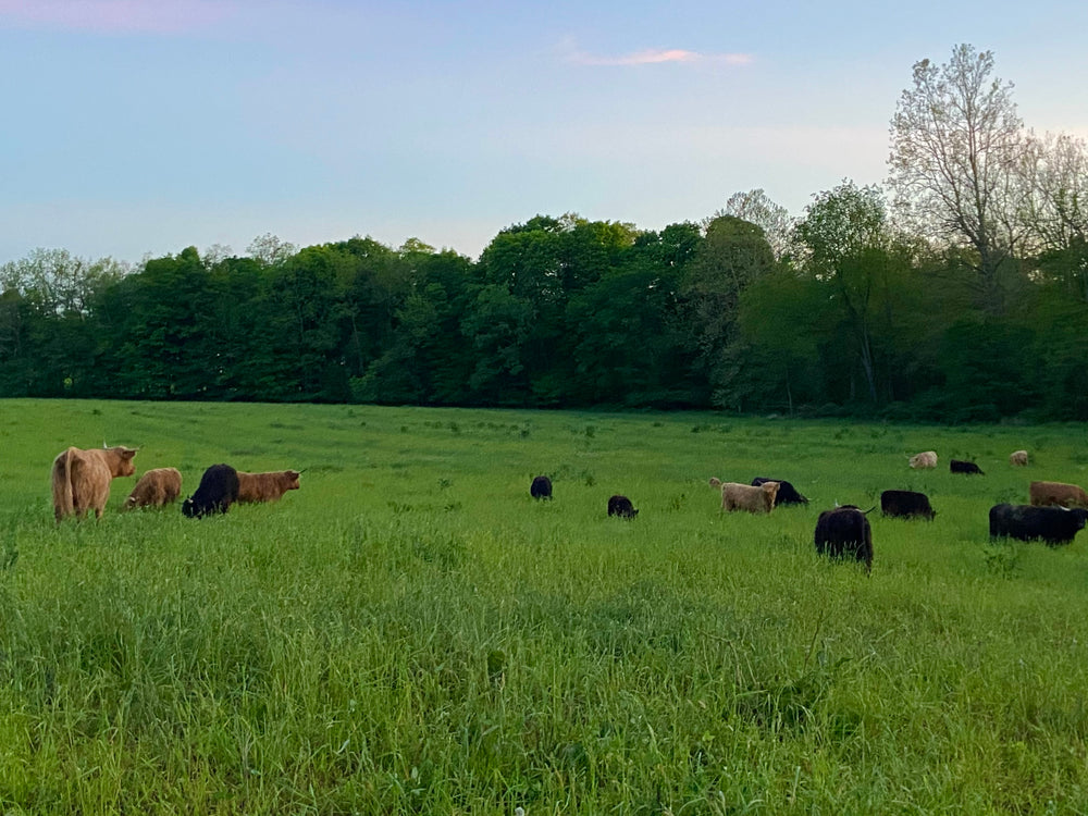 On the Farm Events
