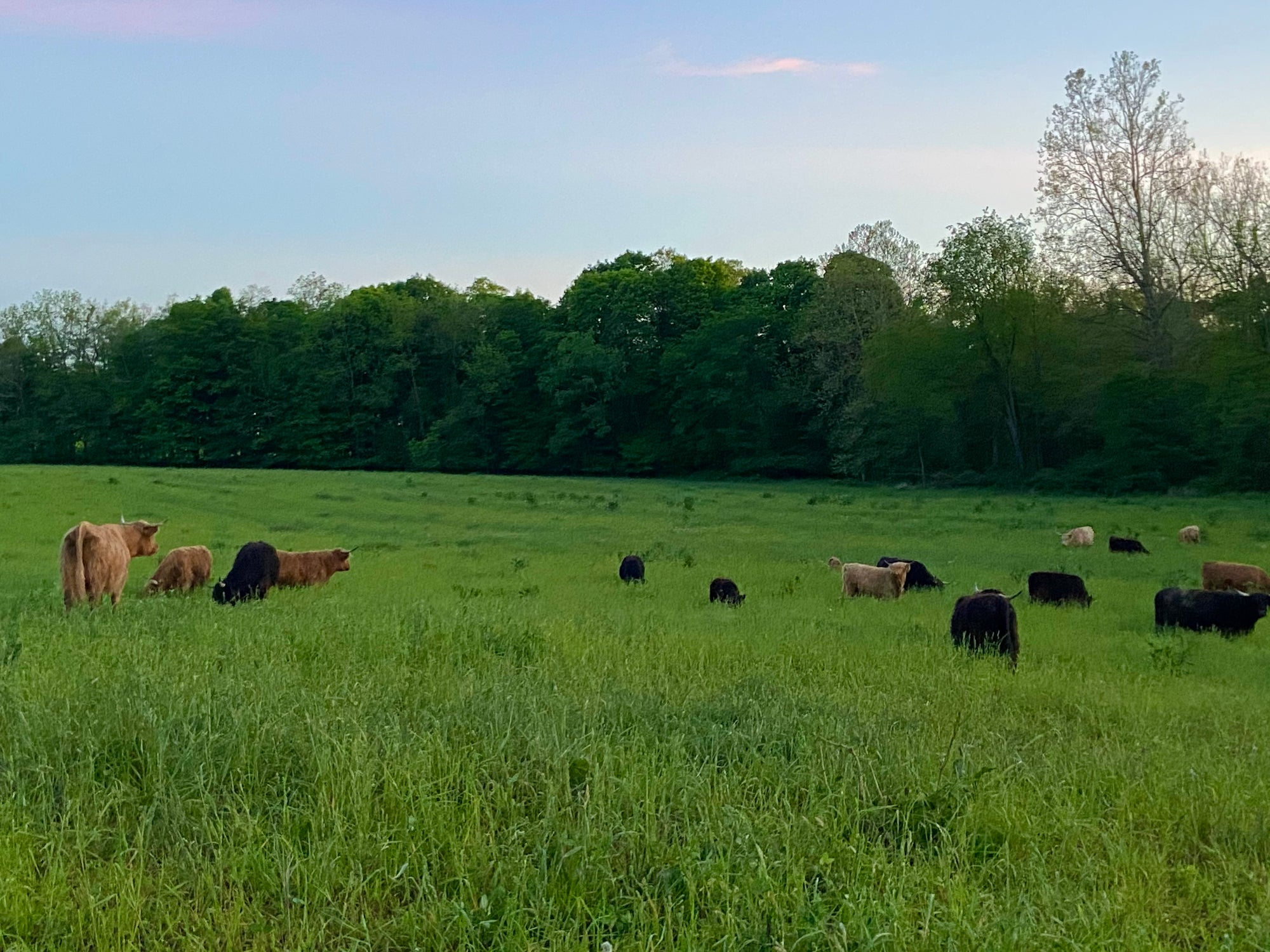 On the Farm Events