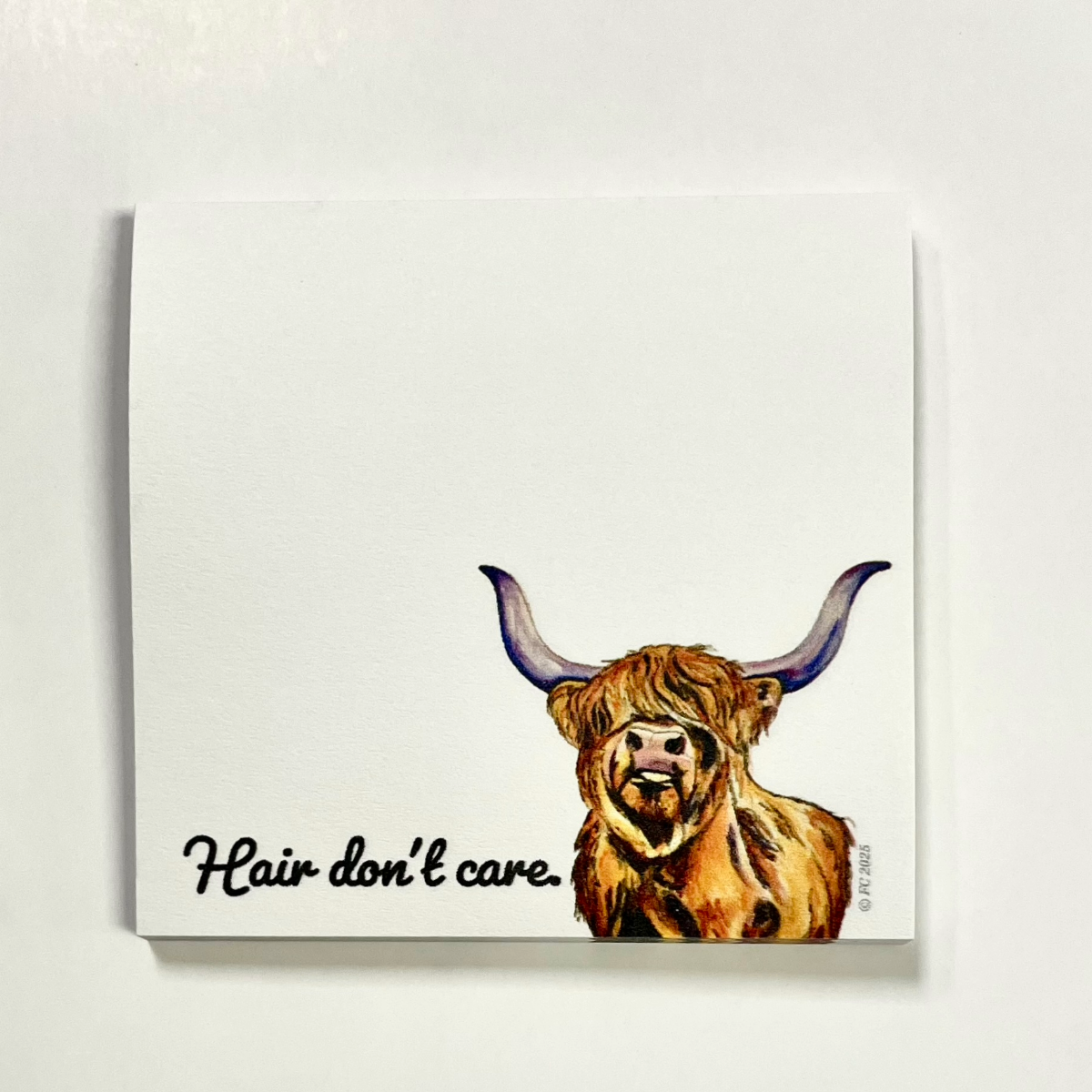 Sticky Notes w/ Highland Cow & "Hair Don't Care" | 50 Sheets
