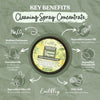 Lemon Thyme Cleaning Spray Concentrate