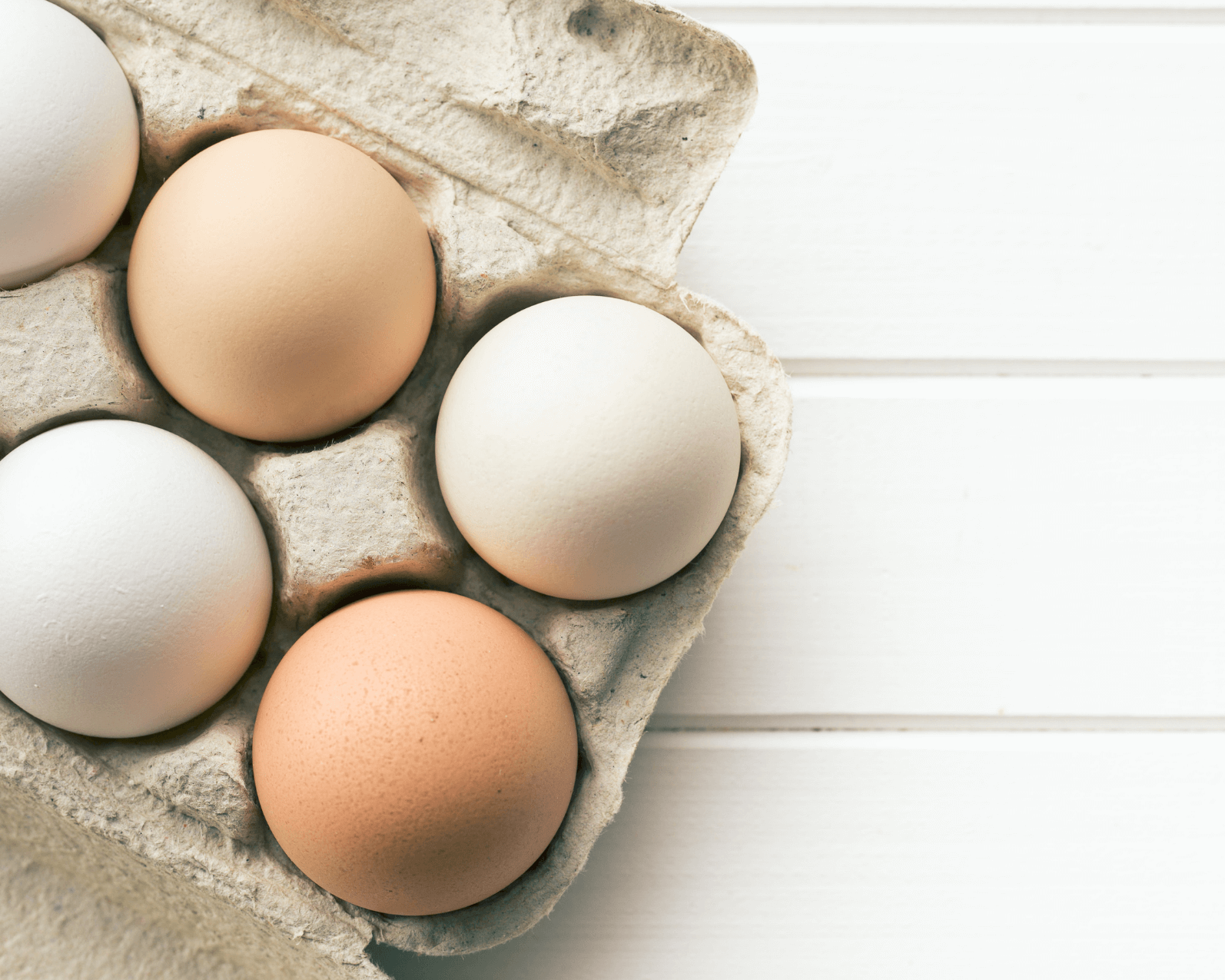 farm fresh eggs in carton