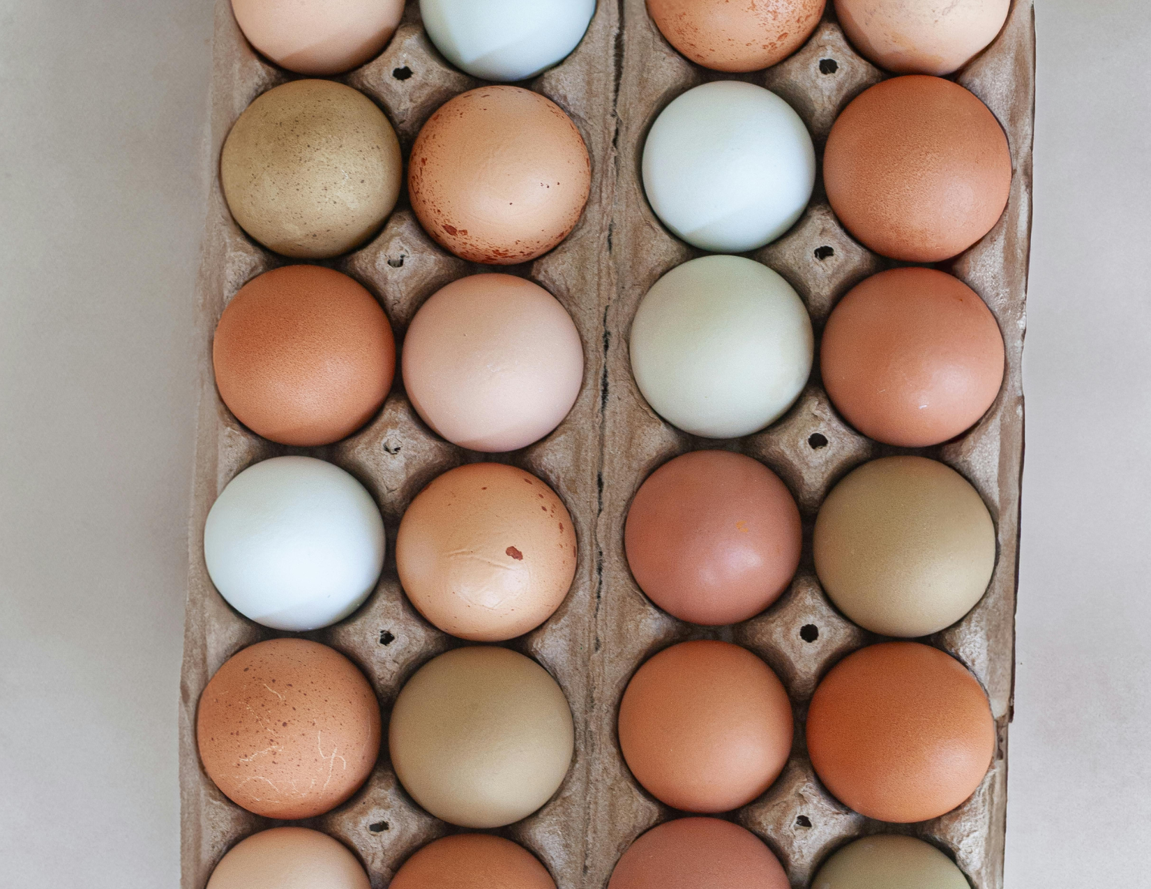 Farm Fresh Eggs