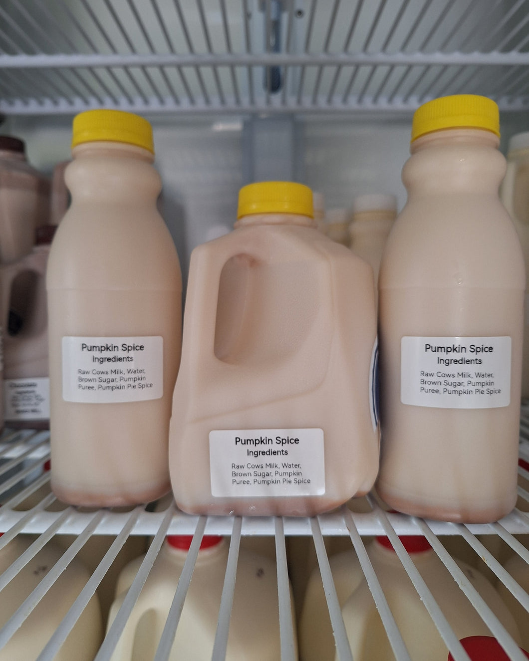Raw Pumpkin Spice Milk - Only for a Limited Time!