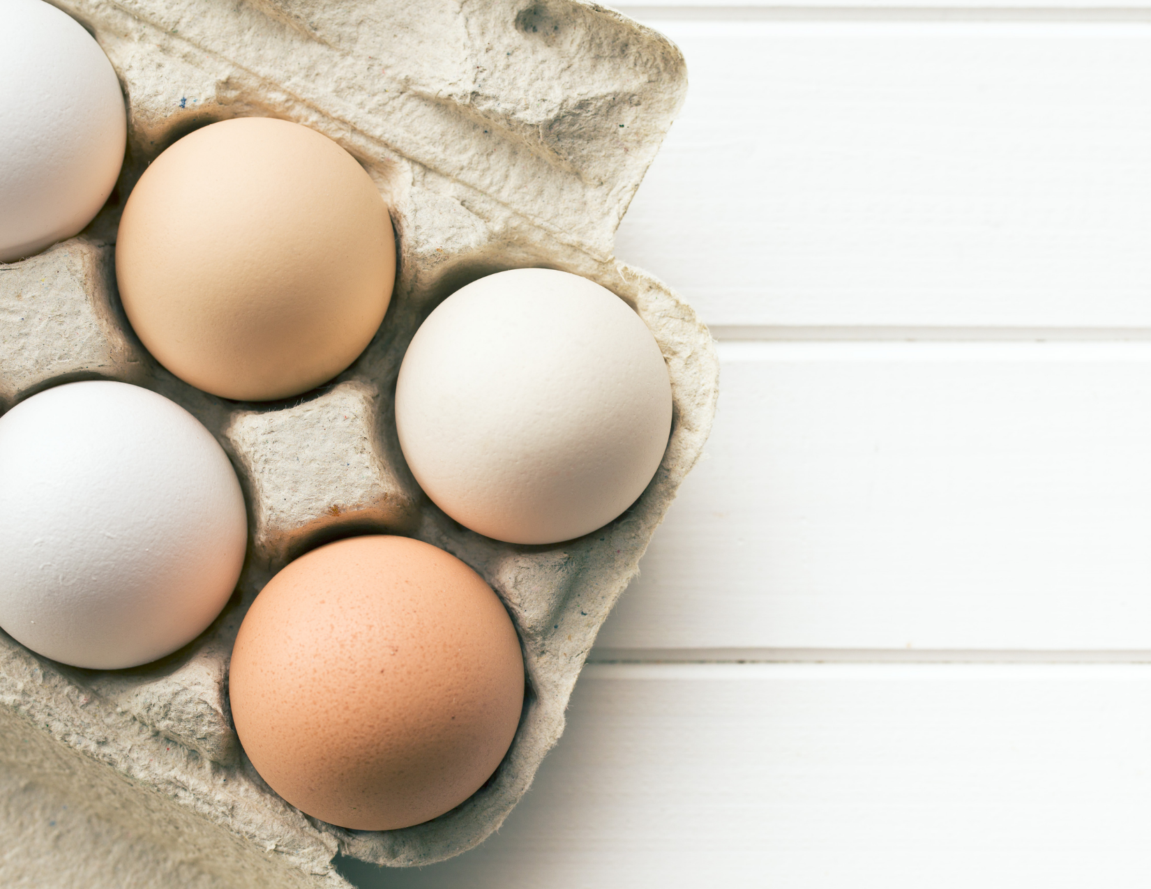 farm fresh eggs in carton